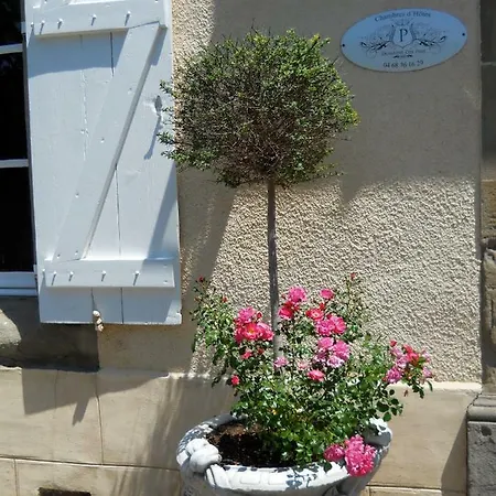 Domaine Des Pins Gite Swimming Pool Garden Bbq Kitchen Bedroom Bathroom